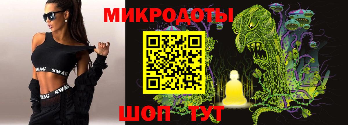 Галлюциногенные грибы Cubensis Кингисепп