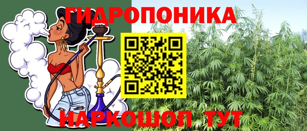 Бошки Шишки марихуана  Вход с VPN  Кингисепп  Марихуана семена  Шишки марихуана AK-47  Каннабис планчик 